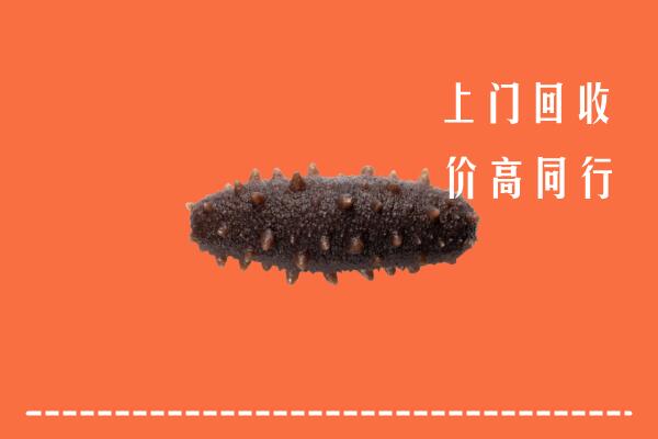 乌兰察布高价回收海参
